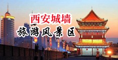 露出白浆中国陕西-西安城墙旅游风景区